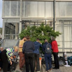 Urban Farming im Reallabor