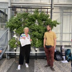Urban Farming im Reallabor