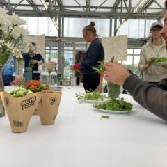 Urban Farming im Reallabor