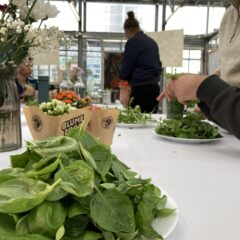 Urban Farming im Reallabor