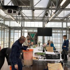 Urban Farming im Reallabor