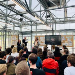 Constructive Disobedience & Typologies of Umbau