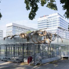 «Swamp Things!» <br>__matter Festival 2025