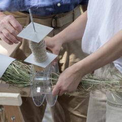 «Swamp Things!» <br>__matter Festival 2025