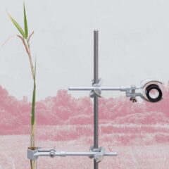 «Swamp Things!» <br>__matter Festival 2025