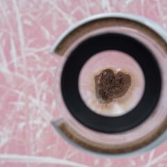 «Swamp Things!» <br>__matter Festival 2025