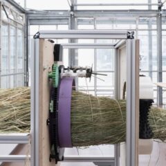 «Swamp Things!» <br>__matter Festival 2025