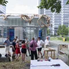 «Swamp Things!» <br>__matter Festival 2025