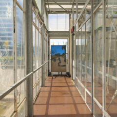 Krull Ausstellung 2025 